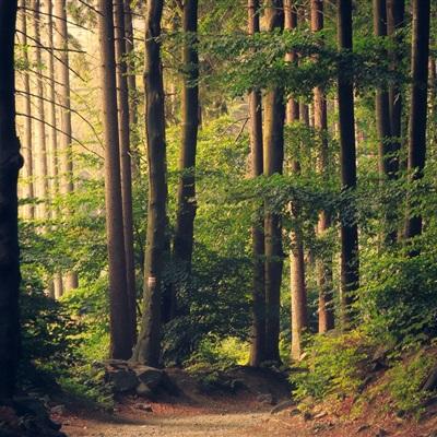 芭比公主婚纱换装游戏手机版下载