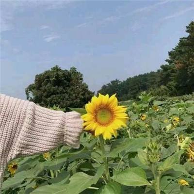 妖神记爱奇艺手游下载