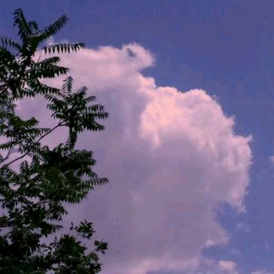 风车之家手游变态版下载